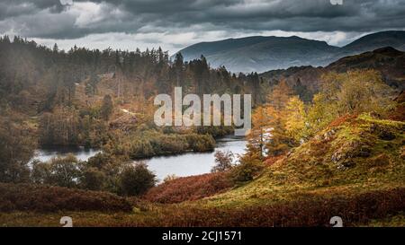 Tarn Hiws en automne.Painterly paysage scène dans Lake District, Cumbria,UK.ciel nuageux sur la vallée de montagne, lac et collines avec éclairé par la lumière du soleil. Banque D'Images