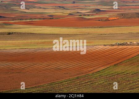 Steppes de Belchite, Espagne, Aragon, El Planeron, Belchite Banque D'Images