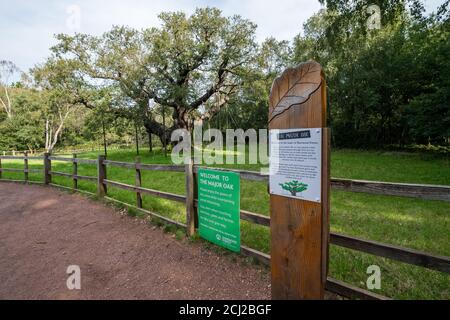 Avis d'avertissement de Covid19 à la principale attraction touristique d'Oak, dans la forêt de Sherwood, dans le tinghamshire. Banque D'Images