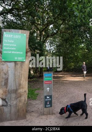Panneau social distance, « Keep left » au centre d'accueil des grands chênes de la forêt de Sherwood. Banque D'Images