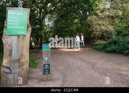 Panneau social distance, « Keep left » au centre d'accueil des grands chênes de la forêt de Sherwood. Banque D'Images
