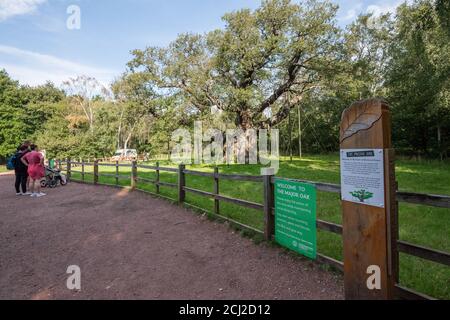 Avis d'avertissement de Covid19 à la principale attraction touristique d'Oak, dans la forêt de Sherwood, dans le tinghamshire. Banque D'Images
