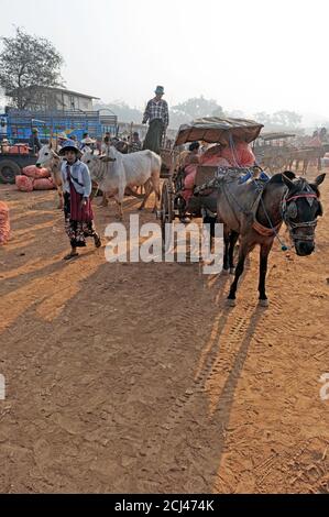 Marché vendant des produits et des produits secs au Myanmar Heho Banque D'Images