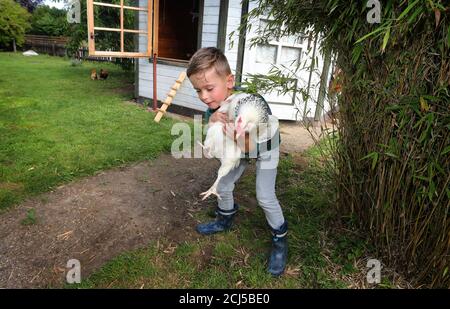 20 août 2020, Bavière, Bad Brönenbach: Moritz tient un de leurs poulets dans ses bras dans le jardin de ses parents. Pendant la pandémie de Corona, de plus en plus de familles emportent de la volaille dans leurs propres jardins (à dpa-KORR: 'Dig, Cat, Chicken: L'élevage de volaille devient un passe-temps de Corona' à partir de 15.09.2020). Photo : Karl-Josef Hildenbrand/dpa Banque D'Images