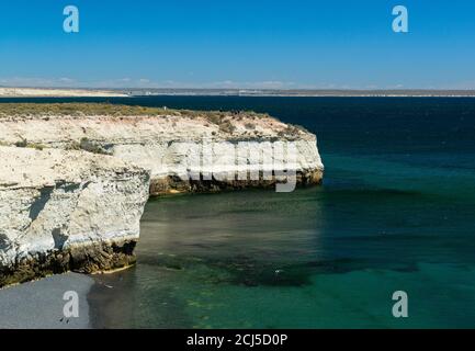 La réserve naturelle de Punta Loma offre une vue magnifique pour observer les lions de mer et les oiseaux d'une falaise, Puerto Madryn, Chubut, Argentine, Amérique du Sud Banque D'Images