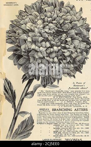 Catalogue De Vente En Gros Des Fleuristes Graines Bulbes Plantes Et C Charles Henderson President O P 2 An A Cs S P Xg 5 C Ogrg Z Ga Ji Z Gt Gt E2 T Ts 51 Ui X 3 Io 4 Z Aa Lt Cj X Cu Cr 1 Cu 6 C 8 3 To3 A 4 Tof Ft R Co Fa Tof