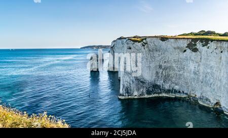 Formations de craie Old Harry Rocks, vue à Handfast point, Dorset, sud de l'Angleterre. Immense mur de falaises de craie blanche avec des souches et des grottes, touristique Banque D'Images