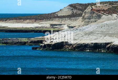 La réserve naturelle de Punta Loma offre une vue magnifique pour observer les lions de mer et les oiseaux d'une falaise, Puerto Madryn, Chubut, Argentine, Amérique du Sud Banque D'Images