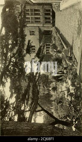 . Jardins européens et japonais; documents lus devant l'Institut américain des architectes .. . Un JARDIN ENTOURÉ D'ARBRES et de jardins anglais. Jardins européens et japonais Banque D'Images
