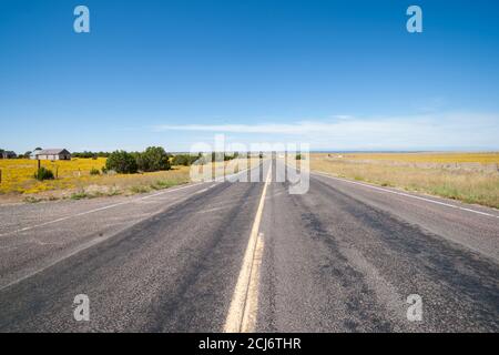 Continuez tout droit sur une route plate qui traverse le paysage de l'Arizona. Banque D'Images