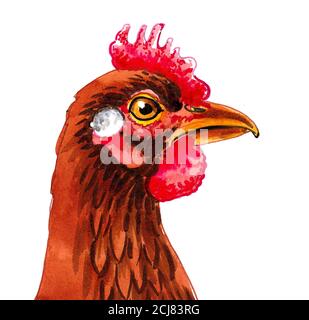 Tête de poulet de poule. Dessin couleur de l'encre et de l'eau Banque D'Images