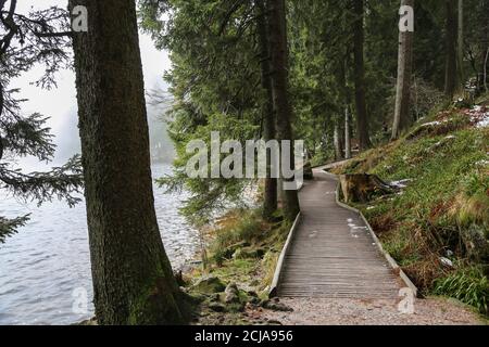 Sentier de randonnée autour de la Mummelsee dans la Forêt Noire à Allemagne Banque D'Images