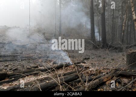 Estacada, États-Unis. 14 septembre 2020. Des feux de forêt dispersés ont brûlé des maisons, des sites de véhicules récréatifs et des voies forestières dans les environs d'Estacada, dans le comté de Clackamas, en Oregon, le 14 septembre 2020. (Photo de John Rudoff/Sipa USA) crédit: SIPA USA/Alay Live News Banque D'Images