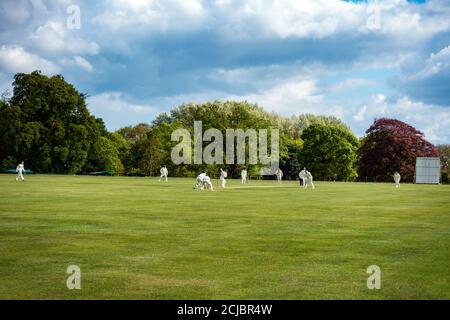 Club de cricket de Wiseton jouant au terrain de cricket du village à Wiseton Hall Banque D'Images