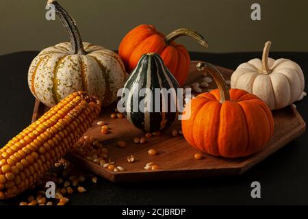 les citrouilles, les cendres et les gourdes, les épis de maïs séchés avec des grains et les haricots secs ont été répartis aléatoirement sur une plaque de bois sur fond noir. Im. Idéale Banque D'Images