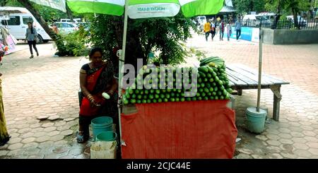 DISTRICT JABALPUR, INDE - 17 AOÛT 2019 : vendeur de carrosse asiatique vendant du concombre dans la rue de la rivière Narmada. Banque D'Images