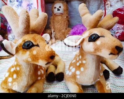 DISTRICT KATNI, INDE - 09 DÉCEMBRE 2019: Cher teddy animal présenté pour la vente au comptoir de magasin de jouets dans le marché de la ville. Banque D'Images