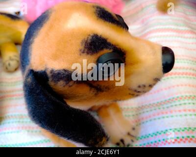 DISTRICT KATNI, INDE - 09 DÉCEMBRE 2019 : teddy de chien présenté à la vente au comptoir de magasin de jouets dans le marché de la ville. Banque D'Images