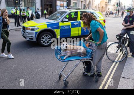 Un chien dans un chariot, la rébellion d'extinction des « rebelles pour l'Amazonie » marche à l'occasion de la Journée des femmes autochtones, Londres, 5 septembre 2020 Banque D'Images