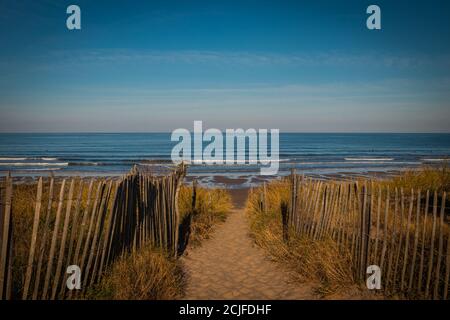 Sentier entre clôtures en bois sur la dune Atlantique en France, Montalivet Banque D'Images