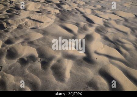 Sculptures de sable soufflées par le vent dans les dunes de sable de Formby Merseyside Banque D'Images