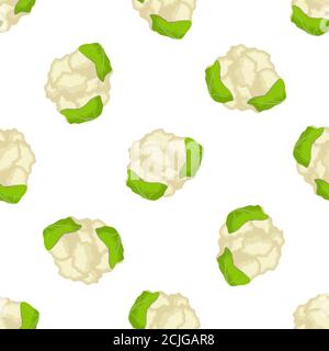 Illustration sur le thème du chou à motif brillant, chou-fleur végétal pour le phoque. Motif végétal composé de beau chou, beaucoup de chou-fleur. Illustration de Vecteur