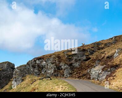 Route au-dessus de Ben Lawers, Écosse Banque D'Images