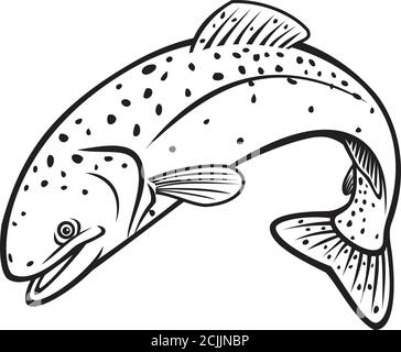 Illustration rétro de style pochoir de la truite arc-en-ciel, Oncorhynchus mykiss, truite rousse de la rivière Columbia, truite arc-en-ciel côtière, jum de salmonidés Illustration de Vecteur