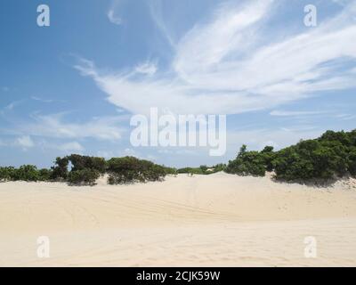 Dunes de Genipabu, destination touristique à Natal, nord-est du Brésil. Banque D'Images