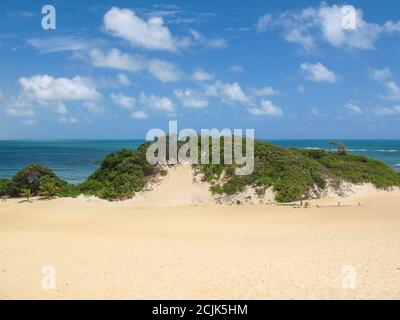 Dunes de Genipabu, destination touristique à Natal, nord-est du Brésil. Banque D'Images