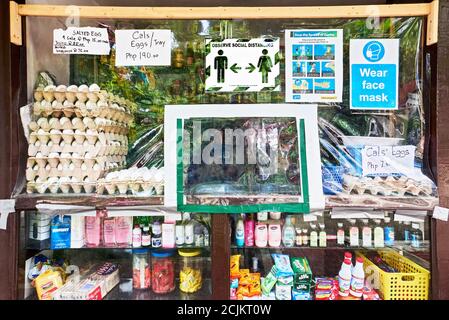 Installation d'un écran en plastique comme protection contre le virus corona à un comptoir d'un magasin philippin traditionnel sari-sari, île Boracay, Philippines, Asie Banque D'Images