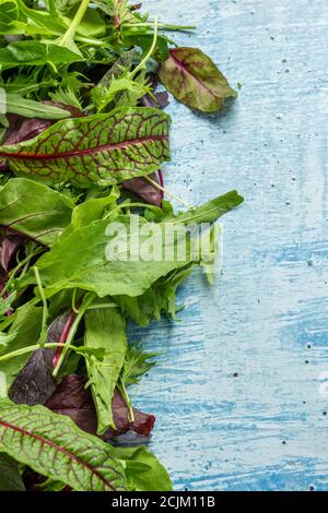 Mélange de légumes frais verts sur fond de bois Banque D'Images