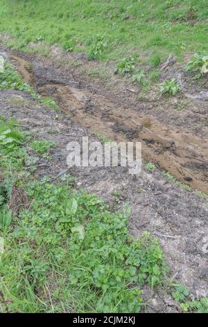 Les drains de champs agricoles à écoulement libre ont récemment été nettoyés et débarrassés des mauvaises herbes aquatiques. Pour la gestion des terres, la gestion des eaux usées, la lutte contre les inondations. Banque D'Images
