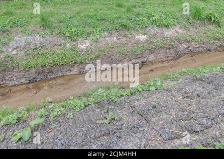 Les drains de champs agricoles à écoulement libre ont récemment été nettoyés et débarrassés des mauvaises herbes aquatiques. Pour la gestion des terres, la gestion des eaux usées, la lutte contre les inondations. Banque D'Images