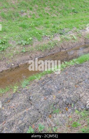 Les drains de champs agricoles à écoulement libre ont récemment été nettoyés et débarrassés des mauvaises herbes aquatiques. Pour la gestion des terres, la gestion des eaux usées, la lutte contre les inondations. Banque D'Images