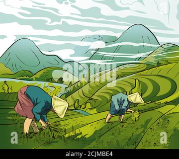 Illustration des agriculteurs plantant du riz dans les champs, des terrasses de champs de riz dans le paysage montagneux, du riz Vector ou de la plantation de thé sur un fiel en cascade Illustration de Vecteur