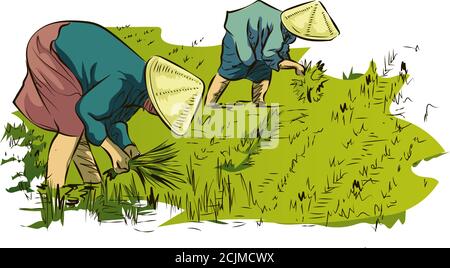 Les paysans vietnamiens plantent du riz. Les agriculteurs travaillent dans les champs de riz, illustration vectorielle de dessin de ligne, ouvriers dans les champs en chapeaux asiatiques Illustration de Vecteur