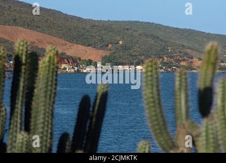 Vue sur le cactus et la plage tropicale Banque D'Images