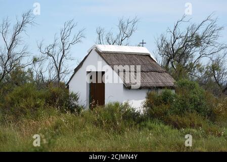 Cabane traditionnelle en chaume connue sous le nom de cabane du gardien dans le Camargue région de Provence France Banque D'Images