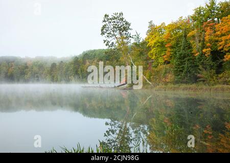 Lac calme et arbres colorés dans le nord du Minnesota sur un matin d'automne brumeux Banque D'Images