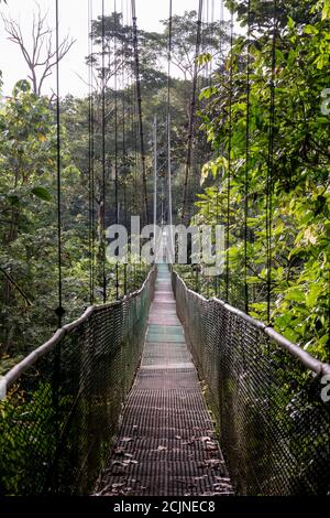 Sarapiqui aventure suspension Bridge Canopy Tours dans la forêt tropicale, zone Atlantique du Costa Rica. Banque D'Images