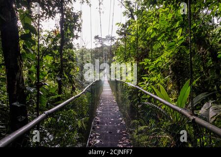 Sarapiqui aventure suspension Bridge Canopy Tours dans la forêt tropicale, zone Atlantique du Costa Rica. Banque D'Images