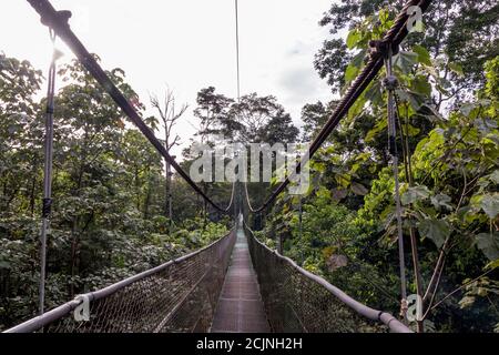 Sarapiqui aventure suspension Bridge Canopy Tours dans la forêt tropicale, zone Atlantique du Costa Rica. Banque D'Images