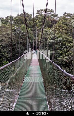 Sarapiqui aventure suspension Bridge Canopy Tours dans la forêt tropicale, zone Atlantique du Costa Rica. Banque D'Images