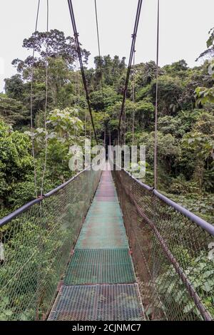 Sarapiqui aventure suspension Bridge Canopy Tours dans la forêt tropicale, zone Atlantique du Costa Rica. Banque D'Images