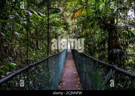 Sarapiqui aventure suspension Bridge Canopy Tours dans la forêt tropicale, zone Atlantique du Costa Rica. Banque D'Images