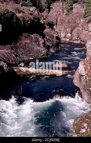 Gorge de Takelma, rivière sauvage et pittoresque de Rogue River, forêt nationale de Rogue River, Oregon Banque D'Images