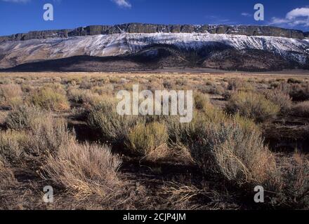 ABERT Rim, zone d'étude de la nature sauvage d'Abert Rim, Lakeview District Bureau of Land Management, Oregon Banque D'Images