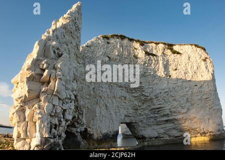 Old Harry Rocks à Studland Poole, Royaume-Uni Banque D'Images