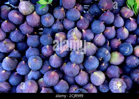 Figues turques fraîches et mûres dans un marché agricole, Istanbul, Turquie Banque D'Images